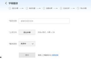 在线视频 翻译,观看体验与内容创新深度解析
