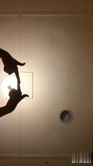 jyh在线视频网站,海量资源，畅享视听盛宴